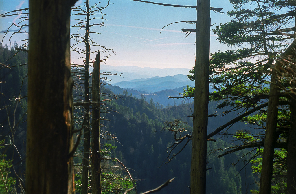 View of parking lot from the Boulevard Trail - Mount LeConte