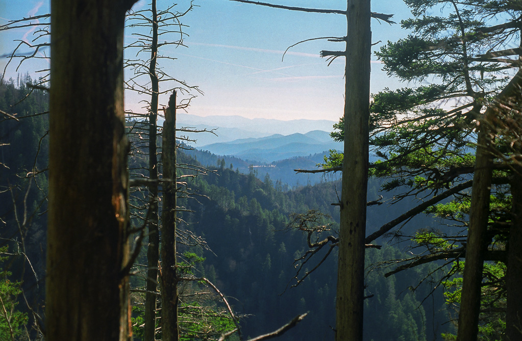 View of parking lot from the Boulevard Trail - Mount LeConte