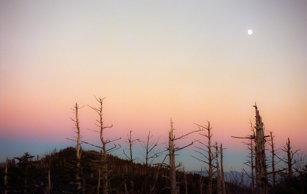 Sunrise - Mount LeConte