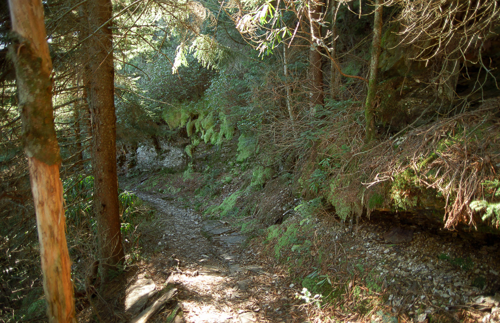 Boulevard Trail - Mount LeConte