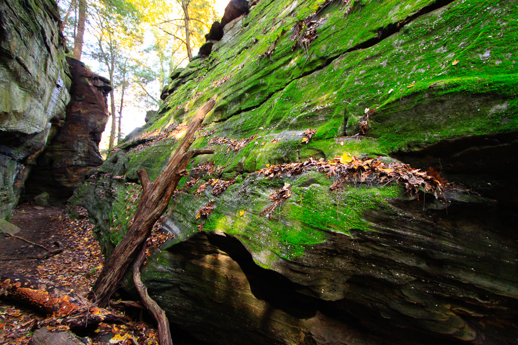 Mossy wall - The Ledges Trail