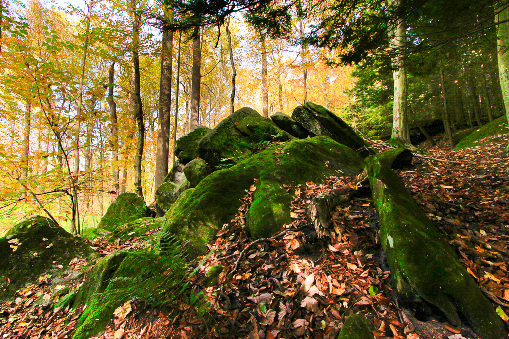 Mossy boulders - The Ledges Trail