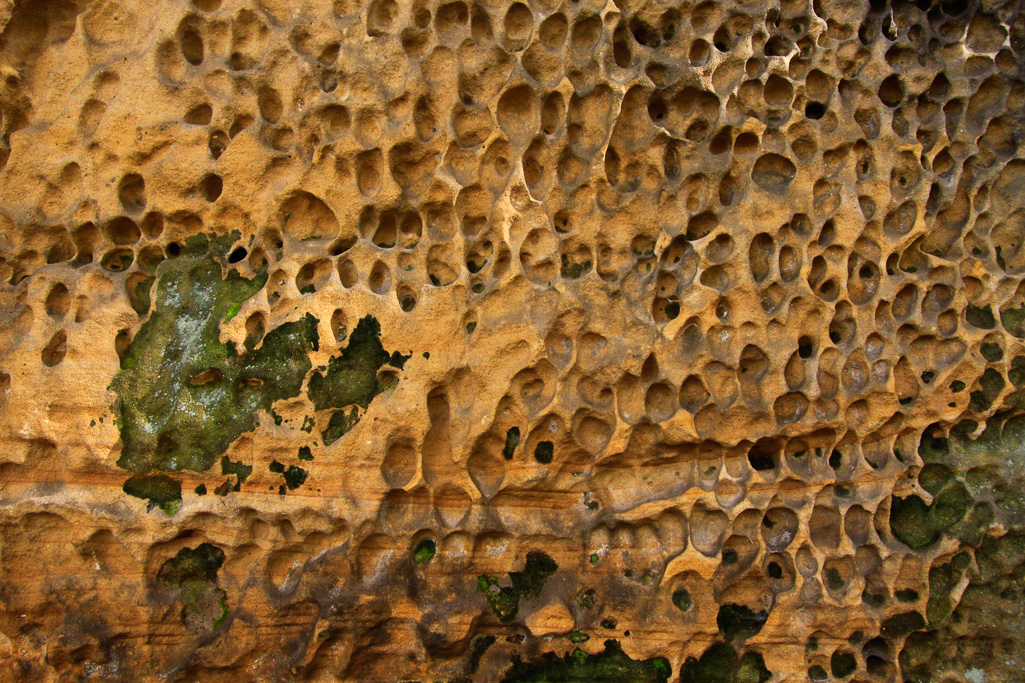 Honeycomb sandstone - The Ledges Trail