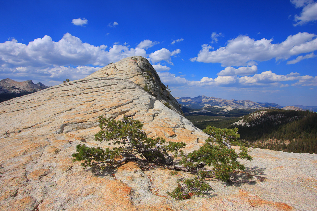 The peak - Lembert Dome