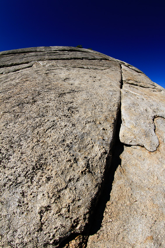 Granite crevice - Lembert Dome