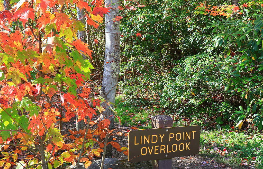 Trailhead - Lindy Point