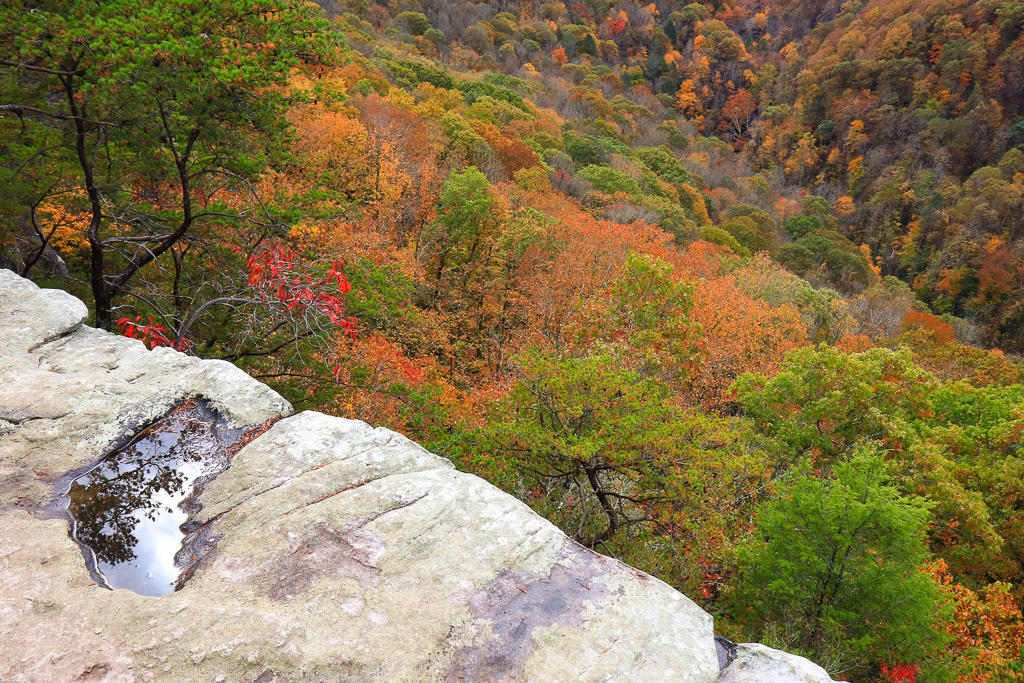 View into gorge from Long Point- Long Point Trail