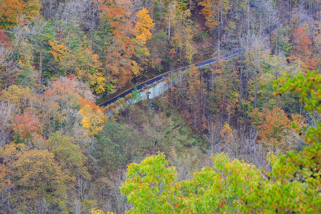 Road along bottom of New River Gorge- Long Point Trail