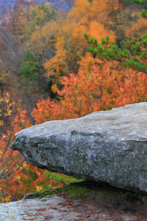 Rock jutting into fall color- Long Point Trail