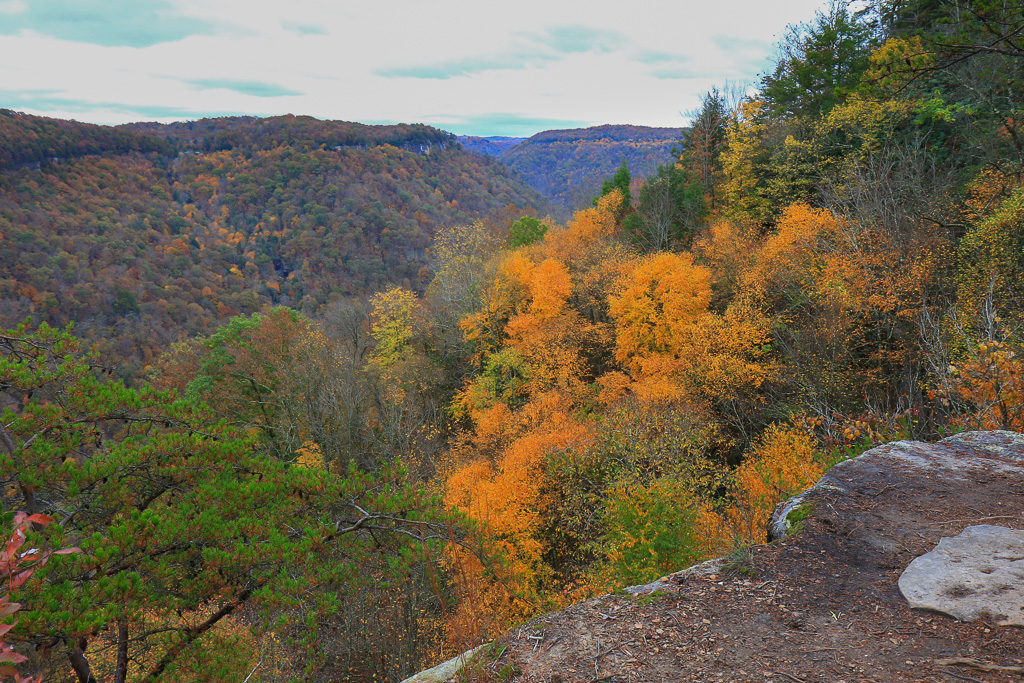 Endless Wall and New River Gorge- Long Point Trail