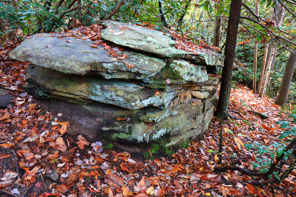 Boulder and leaves- Long Point Trail