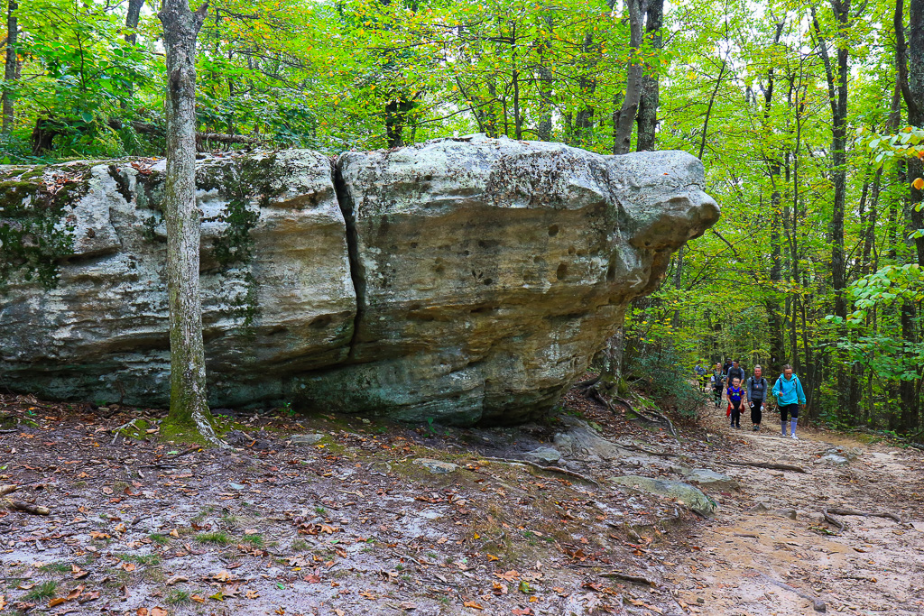 Devil's Kitchen - McAfee Knob