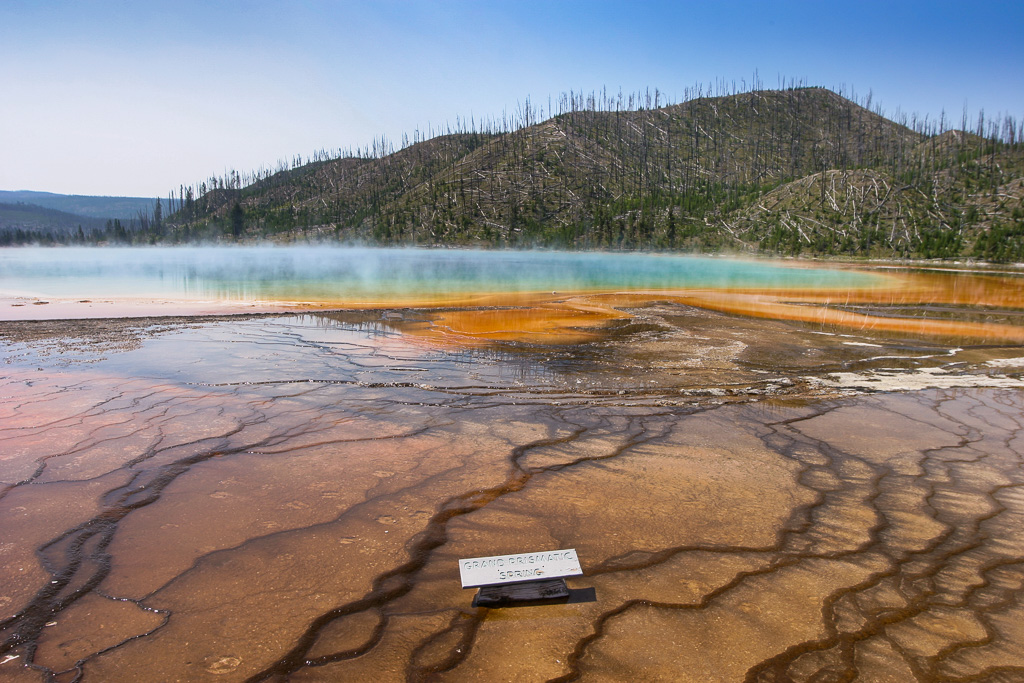 Bacteria Mat 2003 - Midway Geyser Basin