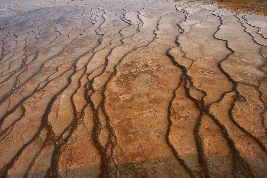 Mat terrace 2021 - Midway Geyser Basin