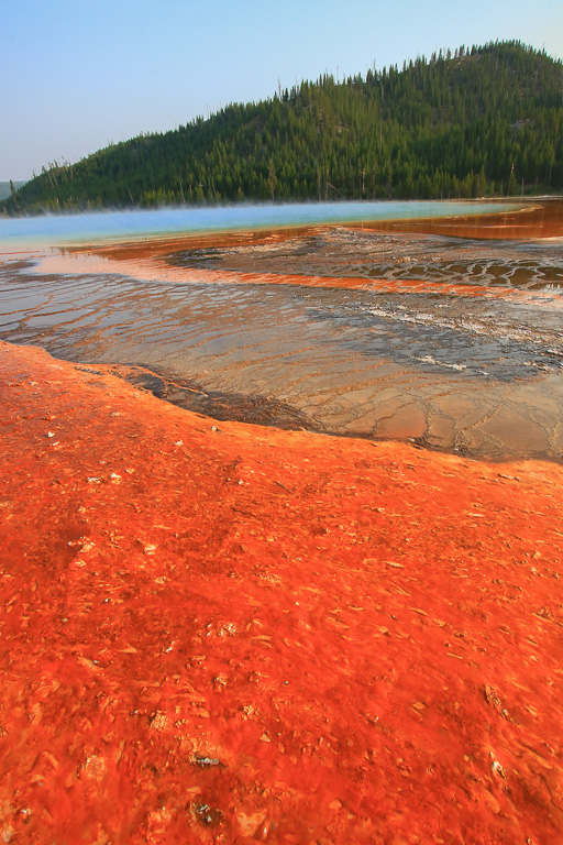 Reds of Grand Prismatic 2021 - Midway Geyser Basin