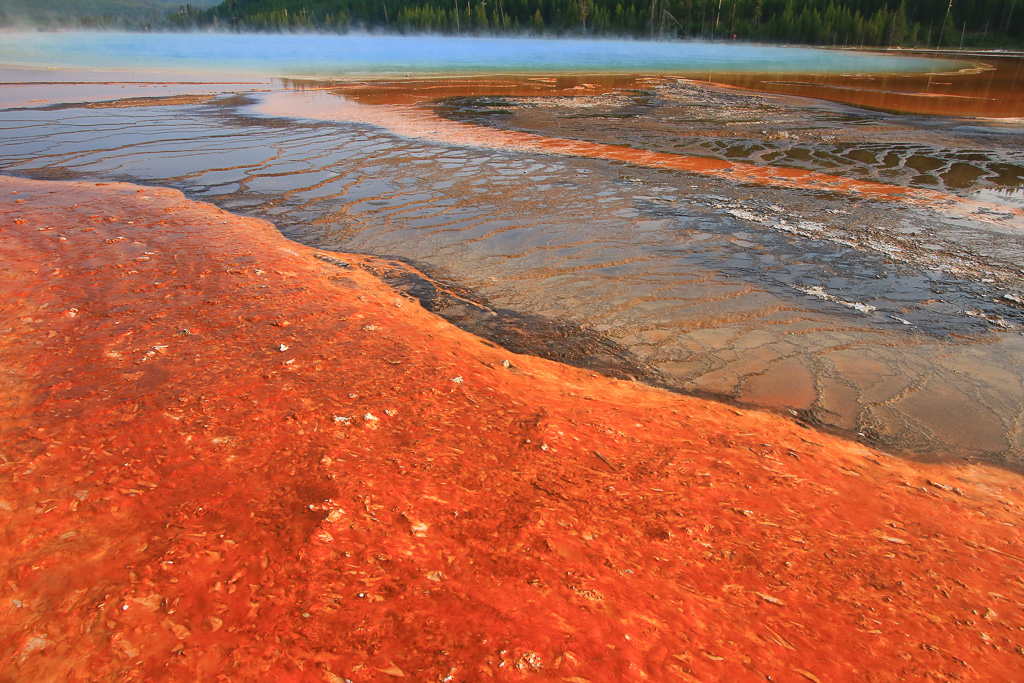 Red Thermophile Mat 2021 - Midway Geyser Basin