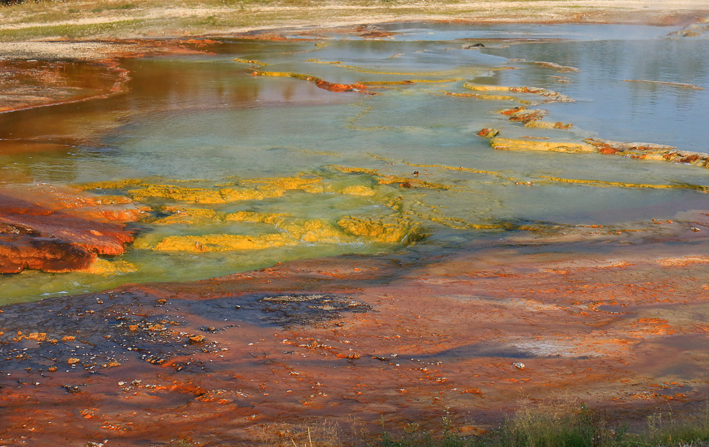 Rainbow of heat loving bacteria 2021 - Midway Geyser Basin