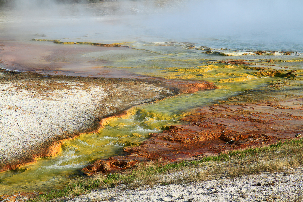 Yellow bacteria 2012 - Midway Geyser Basin