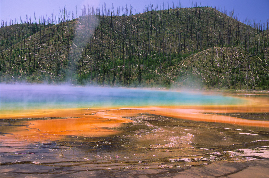 Steam Funnel 1992 - Midway Geyser Basin