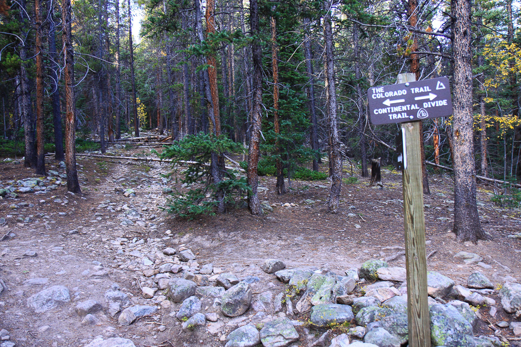 Colorado Trail and Continental Trail Junction - North Mount Elbert Trail
