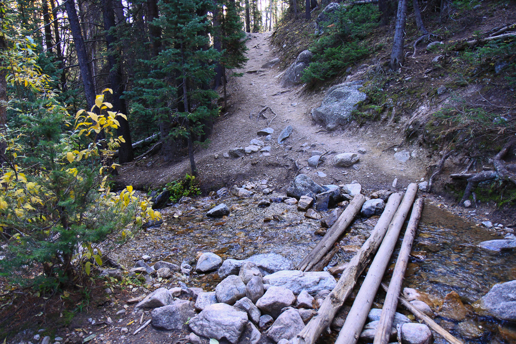 Footbridge over Box Creek - North Mount Elbert Trail