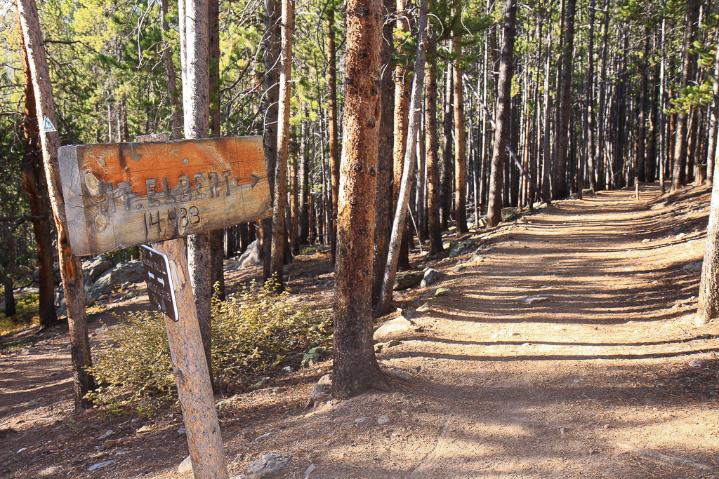 Elbert Trail Sign - North Mount Elbert Trail