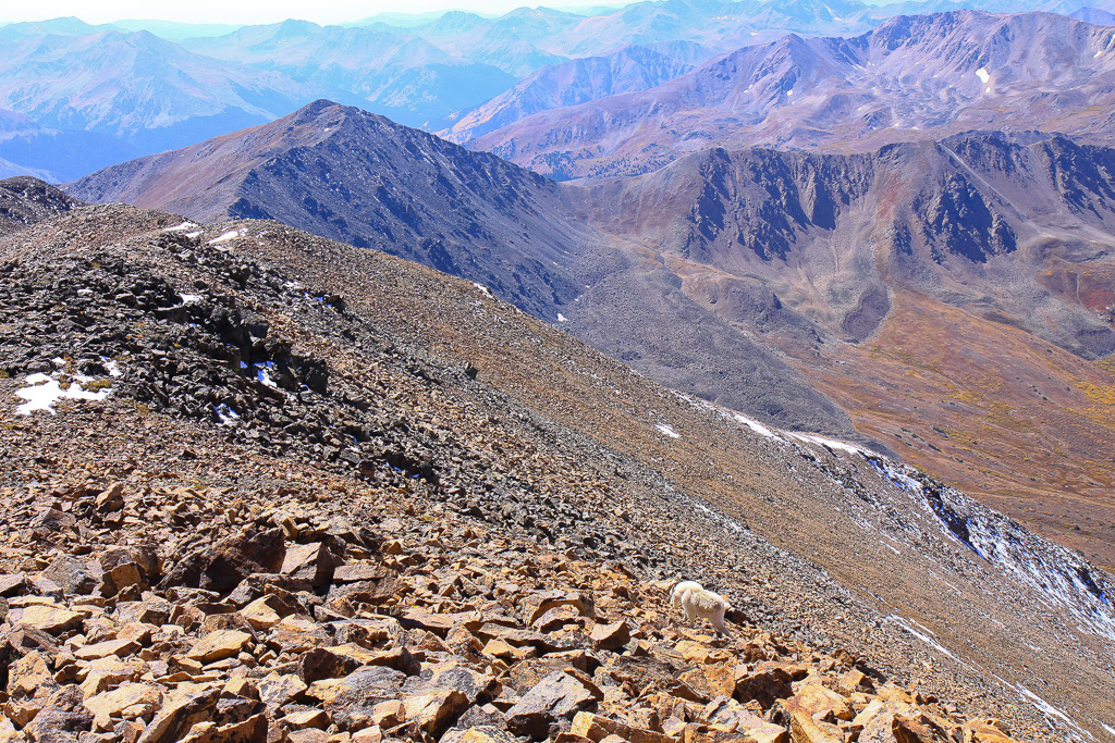 View south from the summit - North Mount Elbert Trail