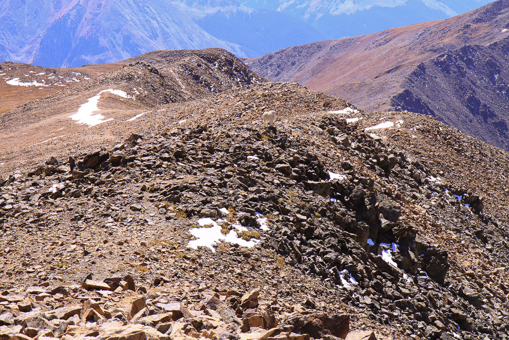 South view - North Mount Elbert Trail