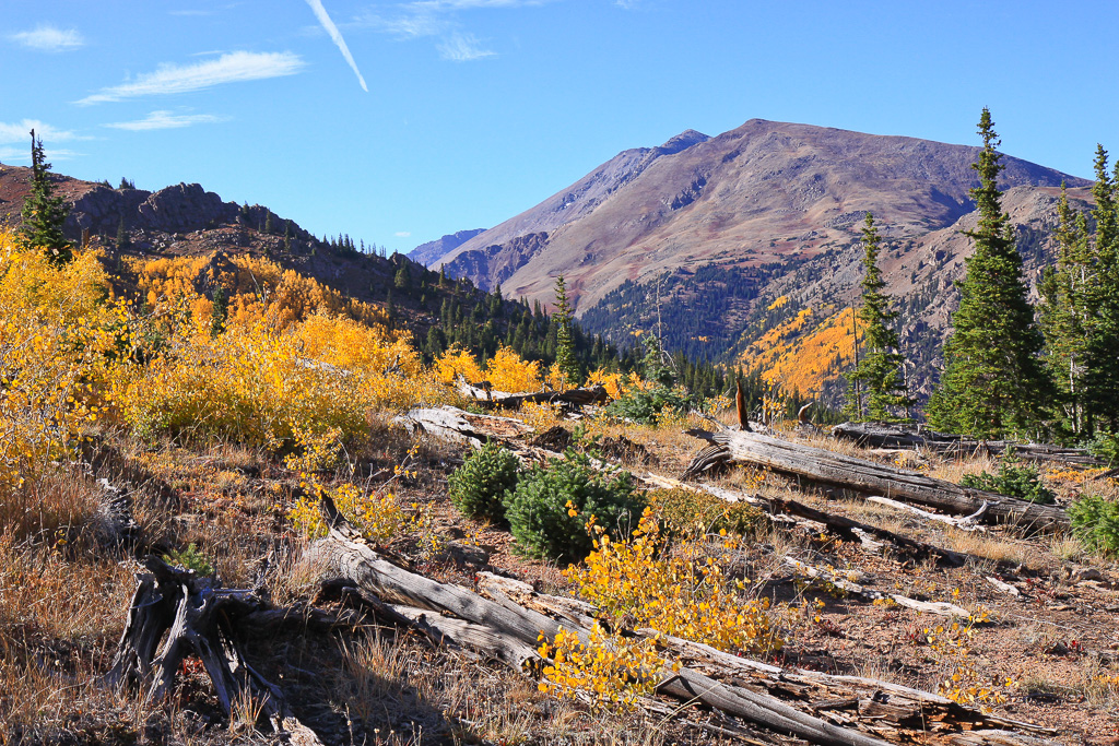 Treeline ans Mt Massive - North Mount Elbert Trail