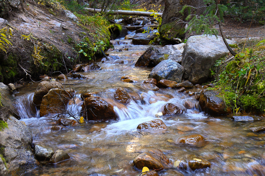 Box Creek - North Mount Elbert Trail