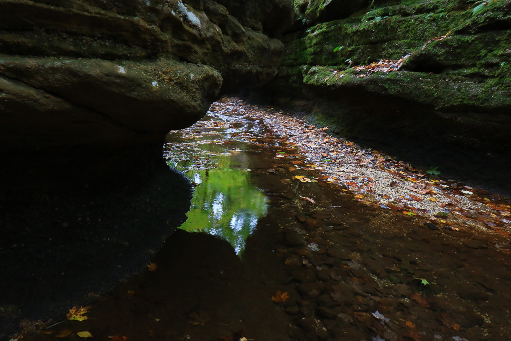 Stream bed and reflection - Nelson-Kennedy Ledges 2021