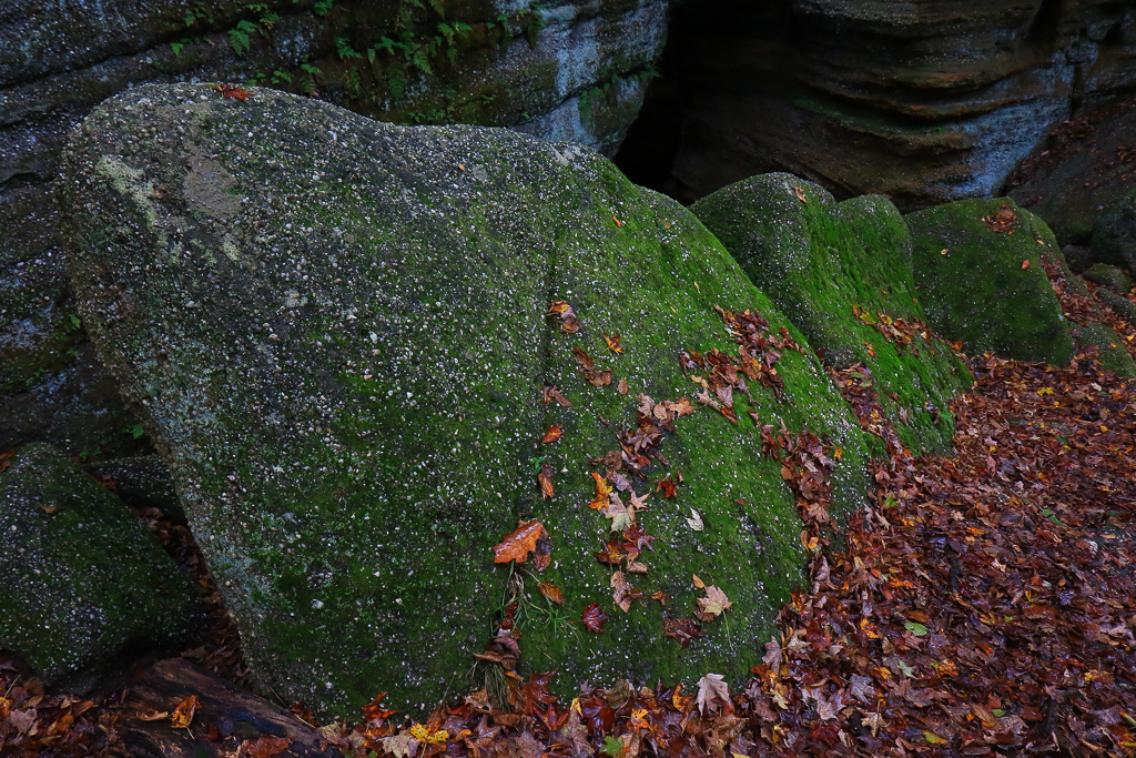 Mossy sandstone boulders - Nelson-Kennedy Ledges 2021