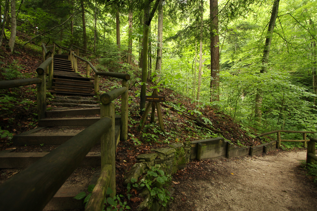 Original Trail - Original Trail/Balanced Rock Trail/Laurel Ridge Trail Loop to Natural Bridge