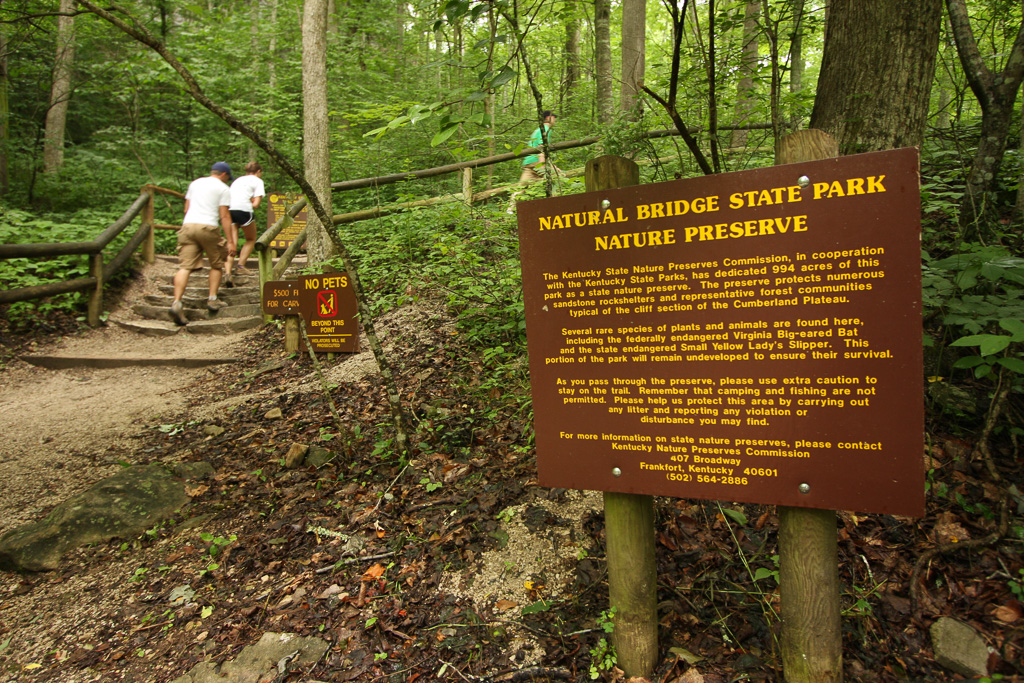 Heading out - Original Trail/Balanced Rock Trail/Laurel Ridge Trail Loop to Natural Bridge