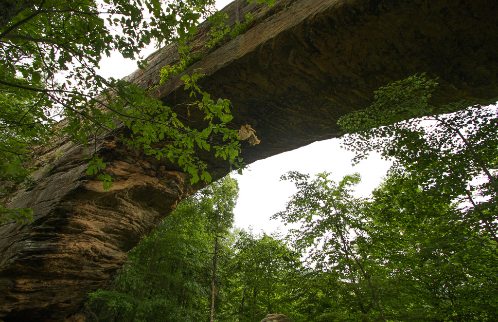 Under Natural Bridge - Original Trail/Balanced Rock Trail/Laurel Ridge Trail Loop to Natural Bridge