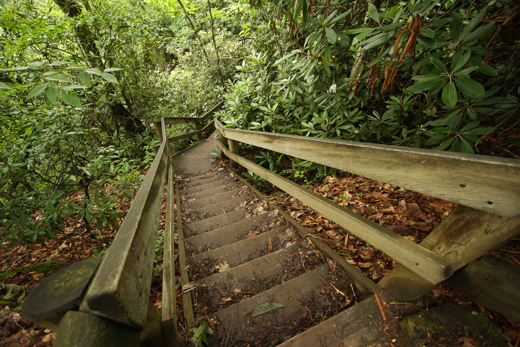 Balanced Rock Staircase - Original Trail/Balanced Rock Trail/Laurel Ridge Trail Loop to Natural Bridge