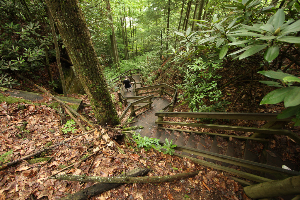 Reader descending - Original Trail/Balanced Rock Trail/Laurel Ridge Trail Loop to Natural Bridge