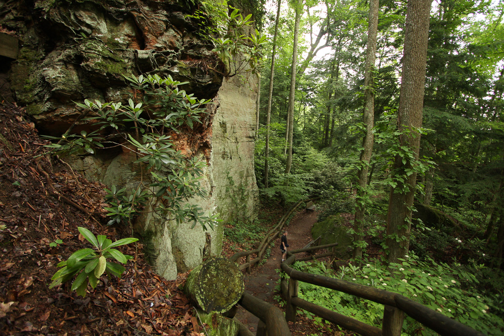 Towering cliffs - Original Trail/Balanced Rock Trail/Laurel Ridge Trail Loop to Natural Bridge
