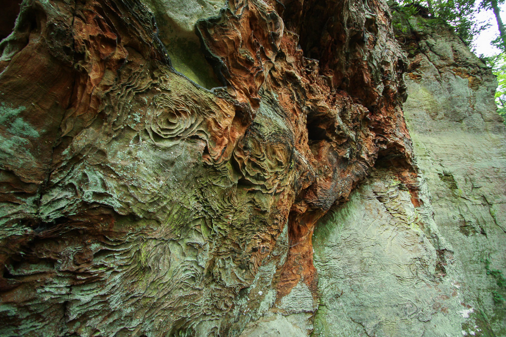 Sandstone formations - Original Trail/Balanced Rock Trail/Laurel Ridge Trail Loop to Natural Bridge