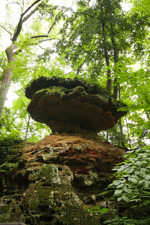 Balanced Rock - Original Trail/Balanced Rock Trail/Laurel Ridge Trail Loop to Natural Bridge