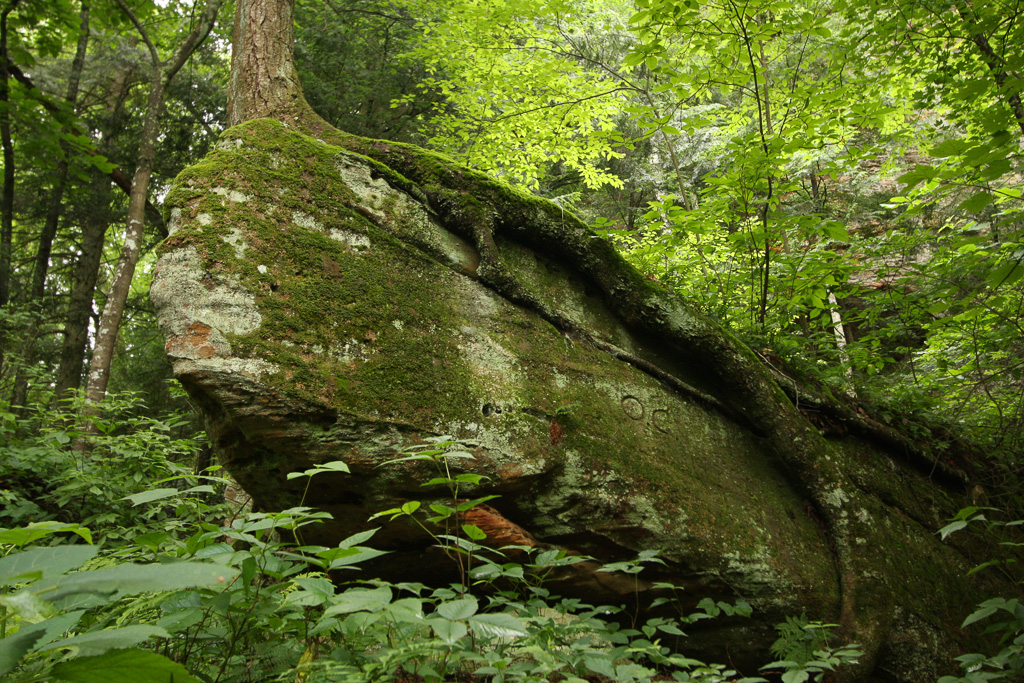 Slump block - Original Trail/Balanced Rock Trail/Laurel Ridge Trail Loop to Natural Bridge