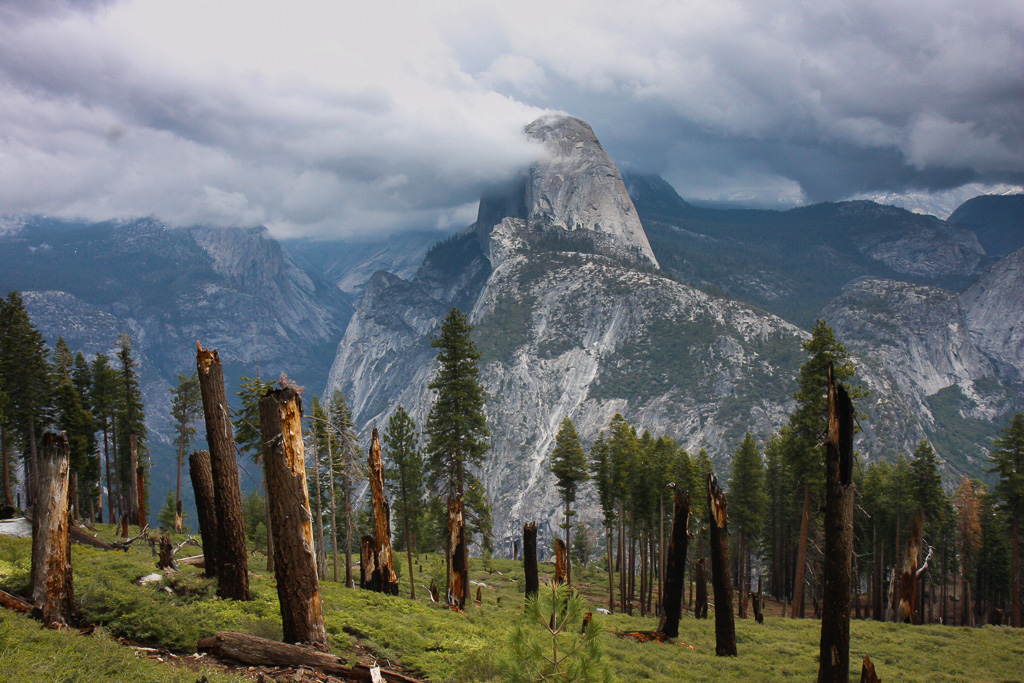 View from trail - Panorama Trail 2008