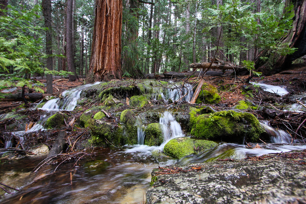 Stream - Panorama Trail 2008