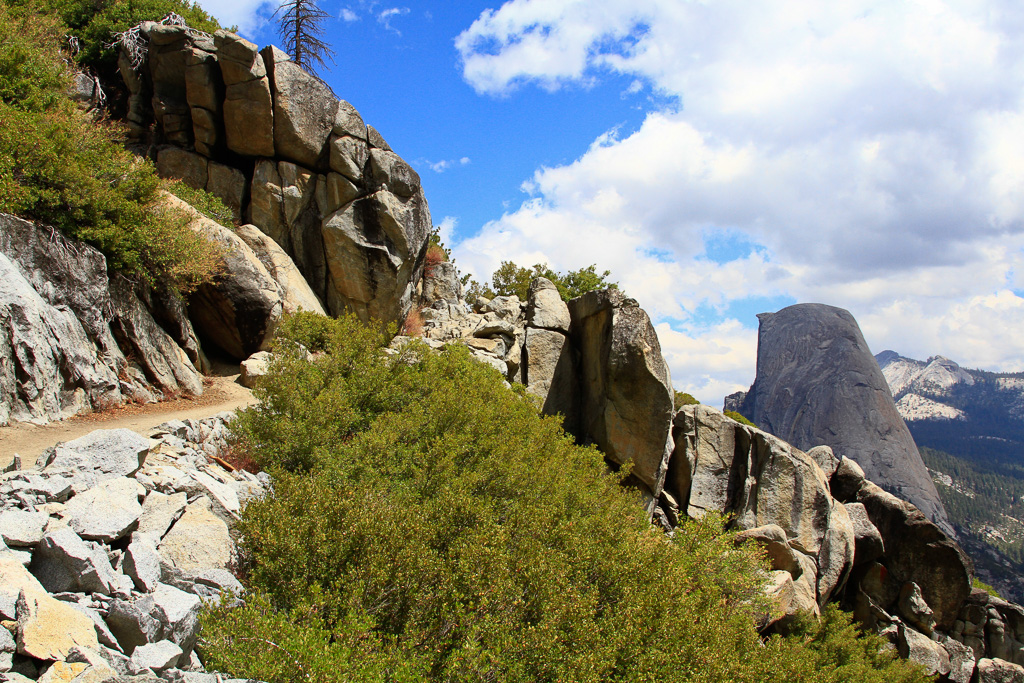 Trail view - Panorama Trail 2013