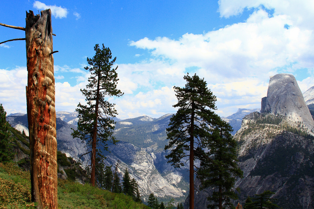 Vista - Panorama Trail 2013