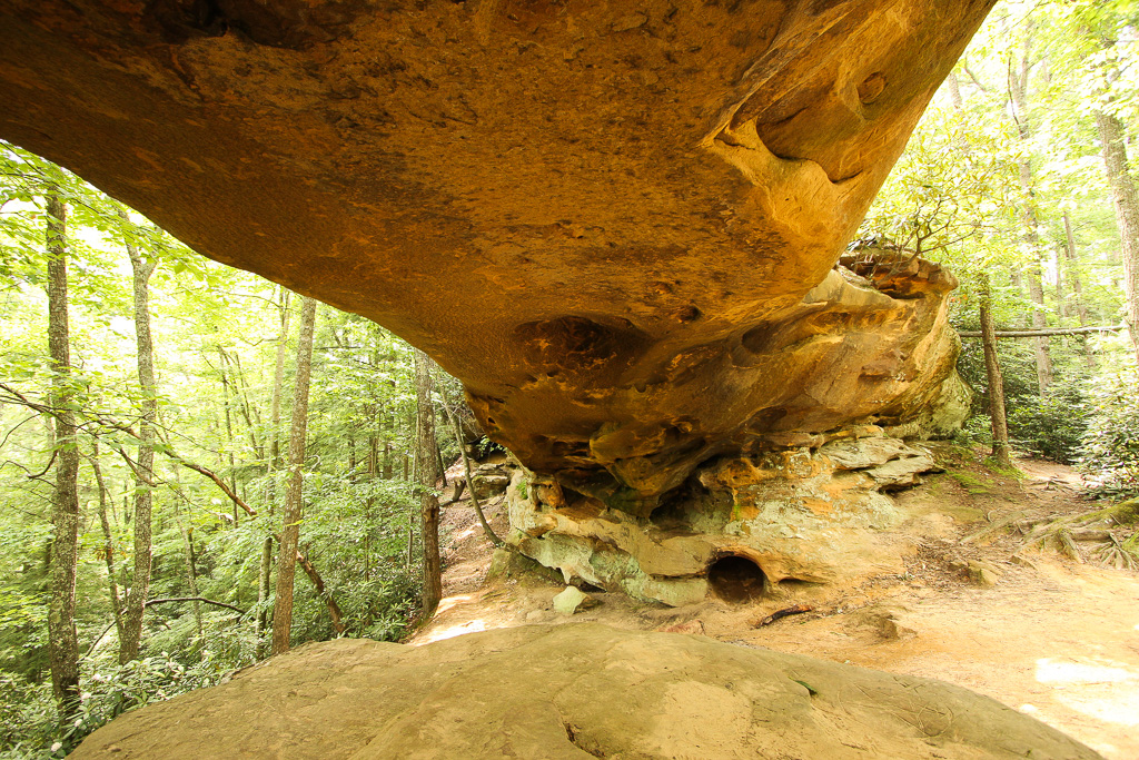 Under the span - Princess Arch