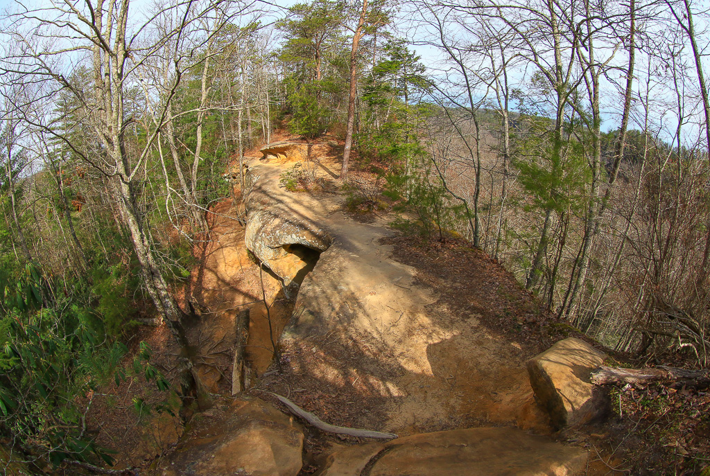 Princess Arch from above - Princess Arch 2025