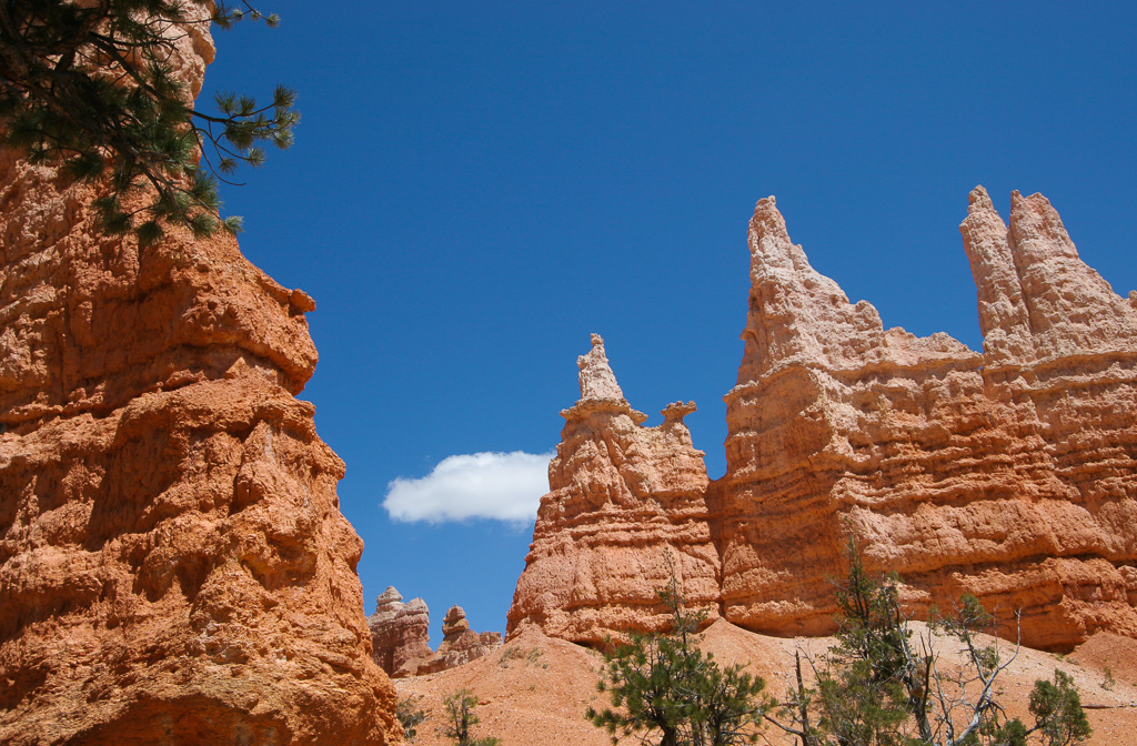 Queen Victoria Hoodoo - Queen's Garden/Navajo Loop