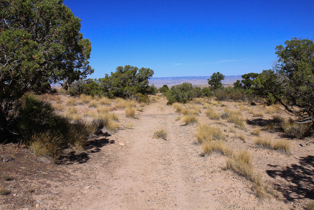 Path to the junction of the overlook and canyon trail - Rattlesnake Canyon Arches