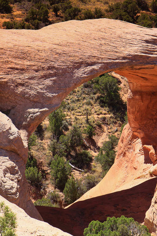 Rainbow Arch opening - Rattlesnake Canyon Arches